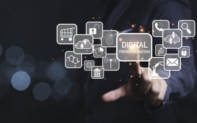 eCommerce e Digital management