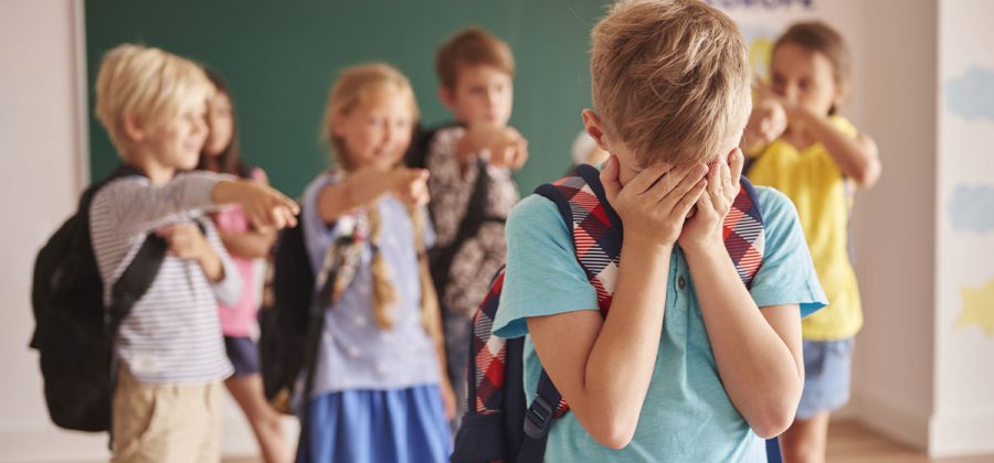 Il Bullismo interpretazione fenomenologia prevenzione e didattica