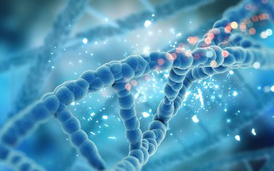 Scienze biologiche