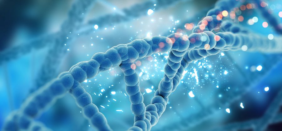 Scienze biologiche