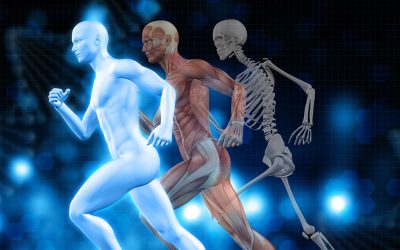 Scienze delle attivit motorie e sportive